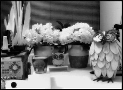 IR_Image