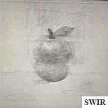 Labeled SWIR Apple1