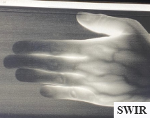 Labeled SWIR hand1