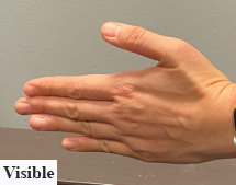 Labeled Visible Hand2
