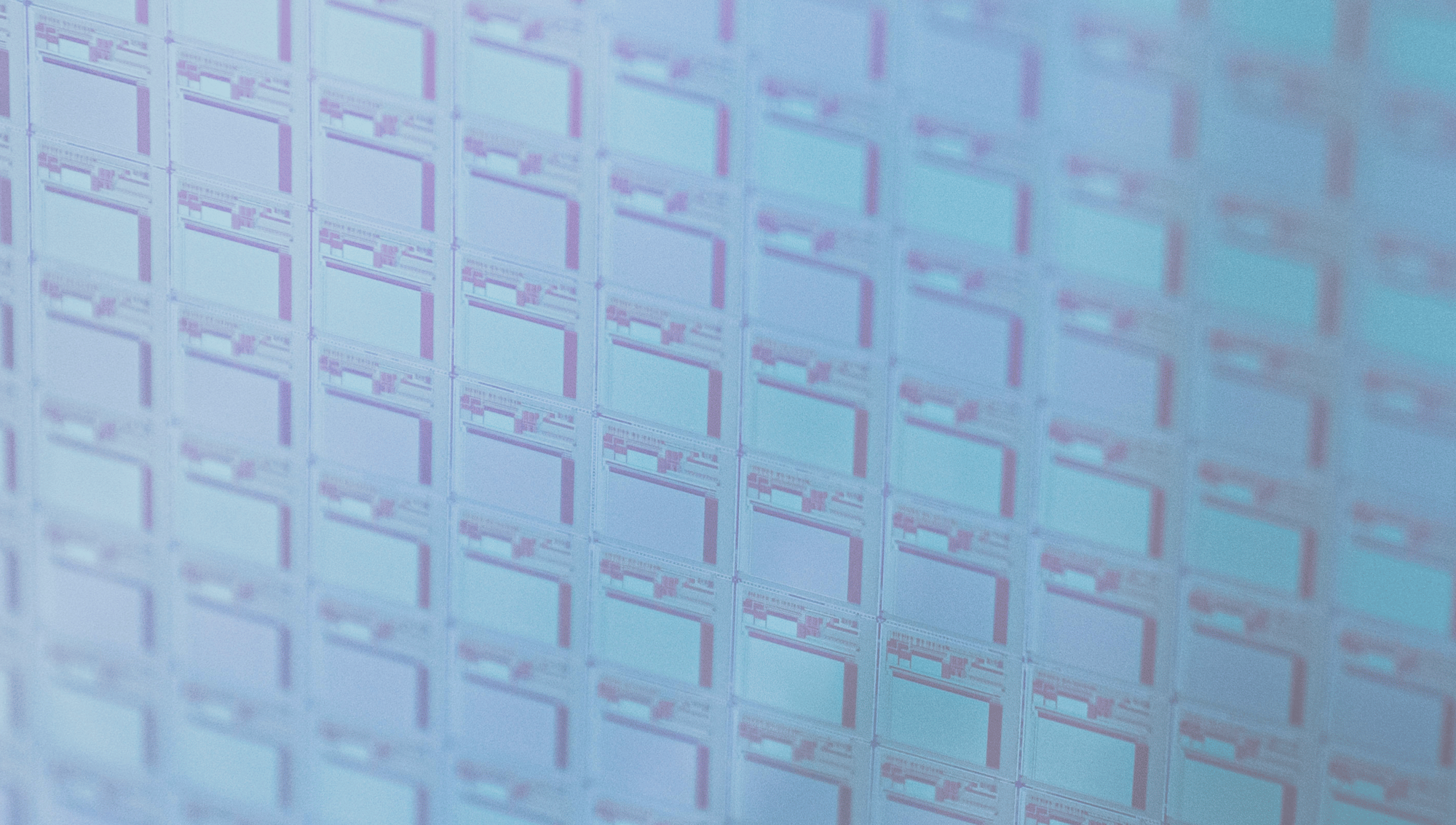 chip grid photo
